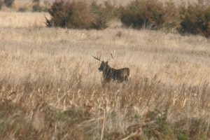 Copy of DALE SELENO GRP DAY 3 2010 019