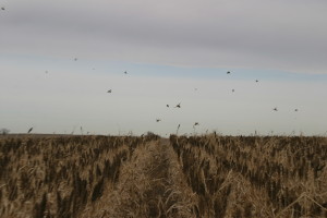 SELENO GRP DAY 2 091