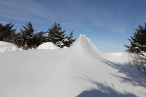 ADDISON GRP 2013 (7)